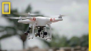 Diversion Helps Drone Spy on Suspected Ivory Trafficking | National Geographic