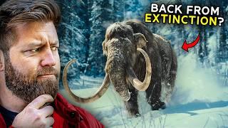 Is The Mammoth REALLY Coming Back From Extinction?