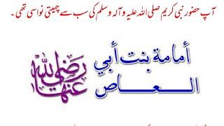 Hazrat Umama Bint Abul Aas Hazrat Muhammad ki Sab Se Chahitee Nawasi Thi.