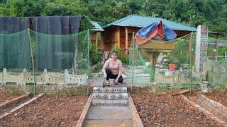 Build stairs down to the vegetable garden, fence around the vegetable garden