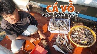 Đánh bắt cá Vồ biển ''Nấu Ngót'' ăn cơm trên ghe | Ngư Dân Miền Tây #193