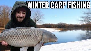 Winter Carp Fishing - Cold-Water Tactics