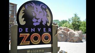 DENVER ZOO - OCTOBER 2023 - FULL WALKTHROUGH - ROBOT MONSTER - THUNDERCRACKER1984 - COLORADO REVIEWS