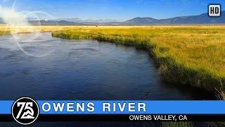 Fishing the Owens River Brown's Campground on the river at Benton Crossing Mammoth Lakes, CA