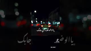 احبك باباتي