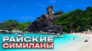 Райские Симиланы обзорТаиландПхукетОстров номер 8 Koh SimilanONLINE TRAVEL SCOUT VLOG