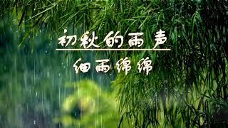 【无广告版,216分钟】初秋的雨声,细雨绵绵,纯下雨声 - 适合读书,学习,工作,专注,独自办公bgm,冥想,放松,疗愈,失眠,深度睡眠用