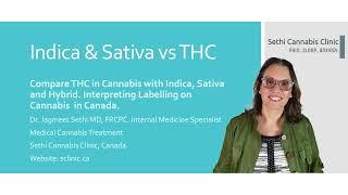 Cannabis: THC Indica vs THC Sativa?