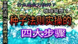 神奇的種子法則的四大實操步驟|業力夥伴|咖啡冥想|與吸引力法則的區別