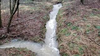 "The Trench" Managing water coming from a neighboring property.