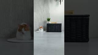 Чёрный сундук с крышкой Корзина для хранения игрушек в детскую Плетёный короб для белья ванную