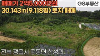 [정읍토지매매] 옹동면 산성리 30,143㎡(9,118평) 토지 매매 (물건번호1216번)