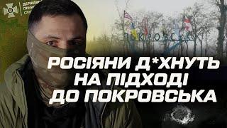 ДИВИТИСЬ ВСІМ! Ось ЯК ВИГЛЯДАЄ ПОКРОВСЬК сьогодні. СУЦІЛЬНІ РУЇНИ. Прикордонники ВІДБИВАЮТЬ НАСТУП