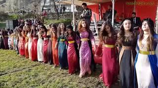 Kurdish Dance | Baile kurdo