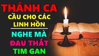 TUYỆT ĐỈNH THÁNH CA CẦU CHO CÁC LINH HỒN | Thánh Ca Cầu Cho Người Đã Khuất Nghe Mà Đau Thắt Tim Gan