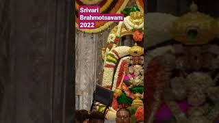 Srivari Brahmotsavam 2022|#tirupati #ttd #tirupatibalaji #brahmotsavam #brahmotsavam2022 #tirumala