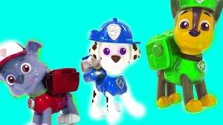 45 Minutes Best Learning Video PAW Patrol Secret Life of Pets Finding Dory Superheroes IRL