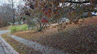 LIVE 4k 60fps  Rain Walk in Henry County, GA - ATLANTA Suburbs #irlpro (Dec 10, 2024)