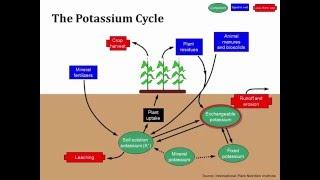 eOrganic Dairy Course: On the Ground. Module 2 Building Better Soils: Understanding Potassium.