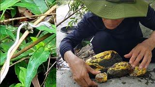 Stunning by The Most Dangerous Gold Mine in Southeast Asia -- Real Gold Panning & Prospecting
