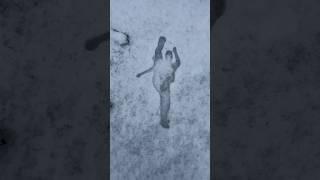 Vanilla Ice Ice Baby dance drawn into the snow #stopmotion #vanillaice #snow #art