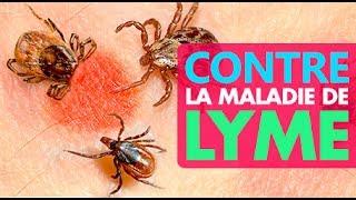 LUTTER CONTRE LA MALADIE DE LYME