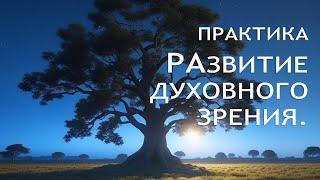 Развитие духовного зрения. Практика душевного развития. Таверна 4 Дуба. Капитолина Уника.