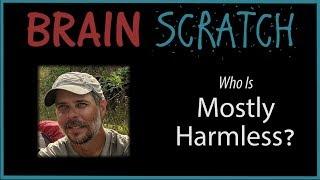 BrainScratch: Who is Mostly Harmless?