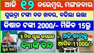 Today's breaking news odisha || Odia News | 12 November 2024 | CM Kisan |subhadra yojana online aply