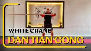 Connecting the Dan Tian in the White Crane Kung Fu System