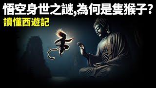 《西遊記》原著解讀:悟空身世之謎,他的原型是誰?為何他是隻猴子 | 名著解讀(唐僧,玄奘,黑神話悟空,石磐陀,西天取經,有聲書,讀書,國學)