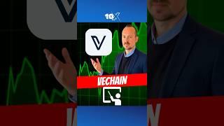 VeChain Explained: Why BMW & Walmart Are Using This Altcoin 