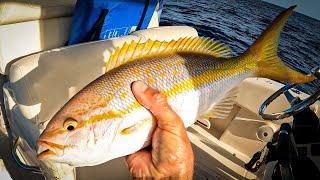 Catching Dinner for Everyone! - Catch, Clean, Cook Yellow Tail Snapper Fishing