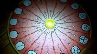 Preview of The Flaming Lips Strobo Trip in action.