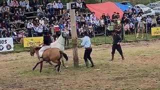 Denis Klein X Mergulhona Tropilha Rincão Dos Potros