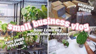 Running a Plant Store From Home Vlog🪴: How To Pack Plants,Packing Shop Orders, Rare Plant Restock!