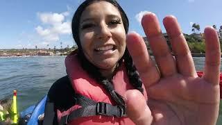 la jolla shores kayak and snorkel tour