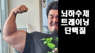 (뇌하수체 트레이닝), 단백질