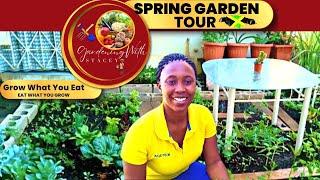 Tropical Garden Tour In Spring In Jamaican Backyard Garden  Spring Garden Tours In Jamaica