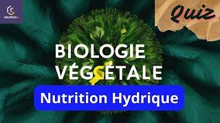 Quiz sur l'importance de l'Eau dans la Nutrition  des Végétaux