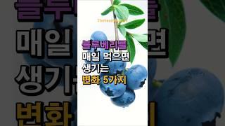 🫐 블루베리의 놀라운 효능 5가지! 매일 먹으면 생기는 변화는? #블루베리 #건강상식 #매일블루베리 #항산화 #기억력향상 #심장건강 #면역력강화 #혈당조절 #건강정보 #수퍼푸드