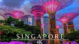 Singapore 4K Night  Gardens By The Bay