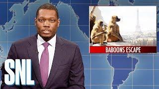 Weekend Update on Baboons Escaping Paris Zoo - SNL