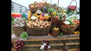 Презентация проекта «Электронная ярмарка в РТ» в ИА «Татар-информ»