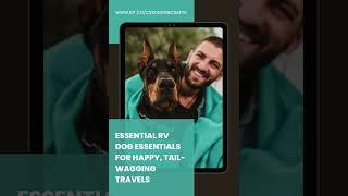 Essential RV Dog Essentials for Happy, Tail-Wagging Travels!