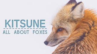 KITSUNE - All about foxes in cultures