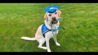 Graduation Ceremony | Southeast Region | November 8, 2024 | Canine Companions