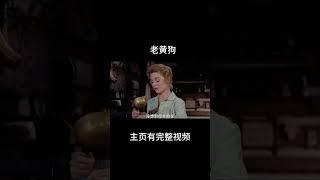 老黄狗