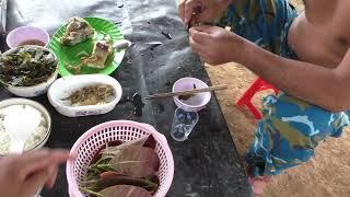 phiêu lưu trong rừng kiếm ăn. Sống với Rừng ( Sinh tồn trong rừng ) Survival in the forest