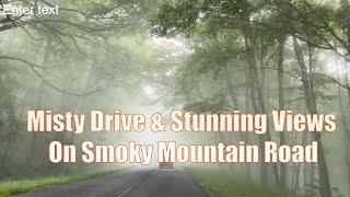 Misty Drive Through the Great Smoky Mountains/Summer Trip to Elkmont Fireflies